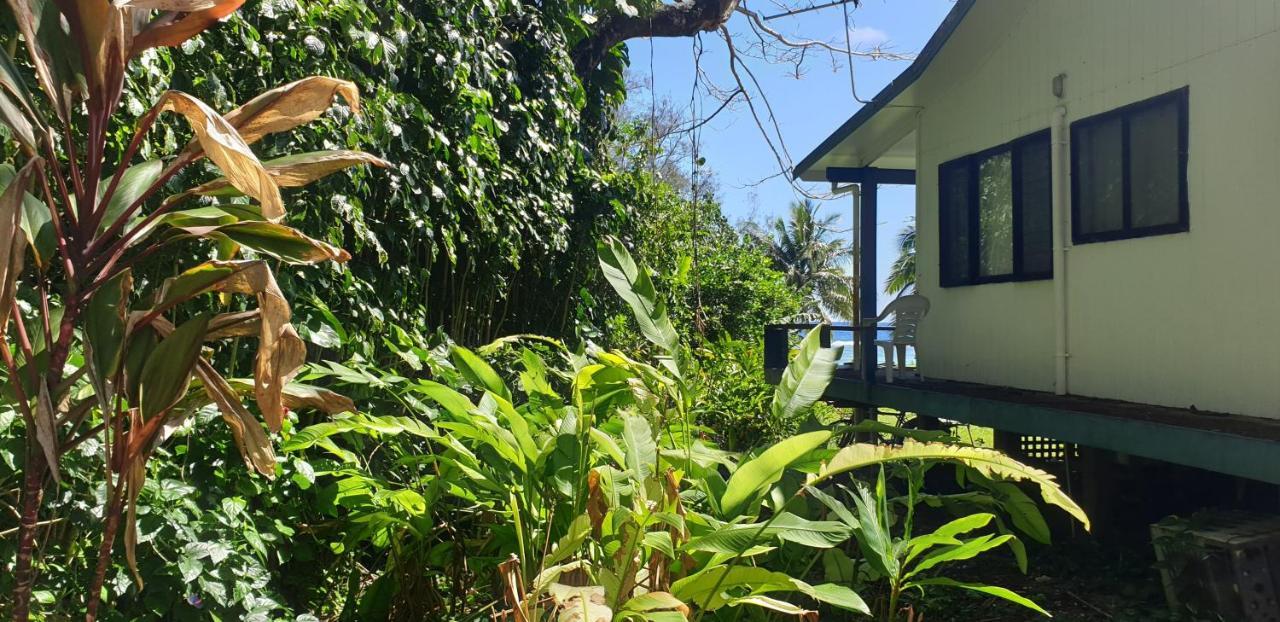 Are Tamareni 2Br Beach Cottage Or River Studio 阿瓦鲁阿 外观 照片
