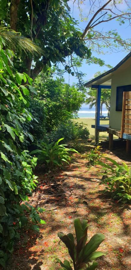 Are Tamareni 2Br Beach Cottage Or River Studio 阿瓦鲁阿 外观 照片